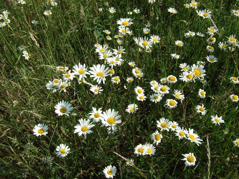 2011- 043.jpg